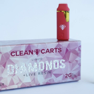 Ficus Decora Burgundy