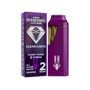 Ficus Decora Cabernet